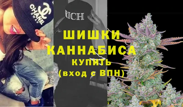 трава Абаза