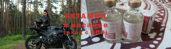 трава Абаза