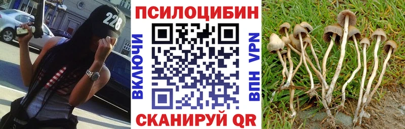 МЕГА ссылки  Новая Усмань  Галлюциногенные грибы Psilocybe 